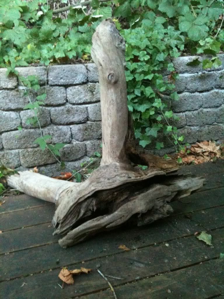 Picture001.jpg