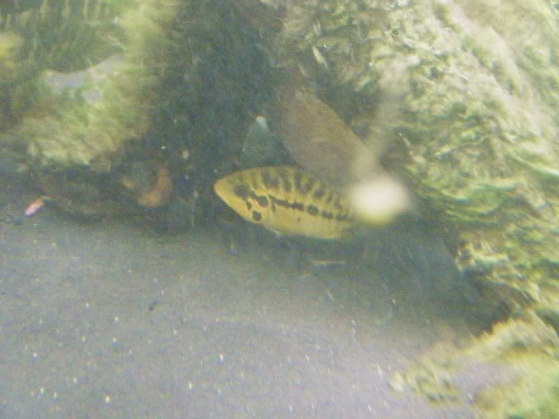 DSCF6327.jpg