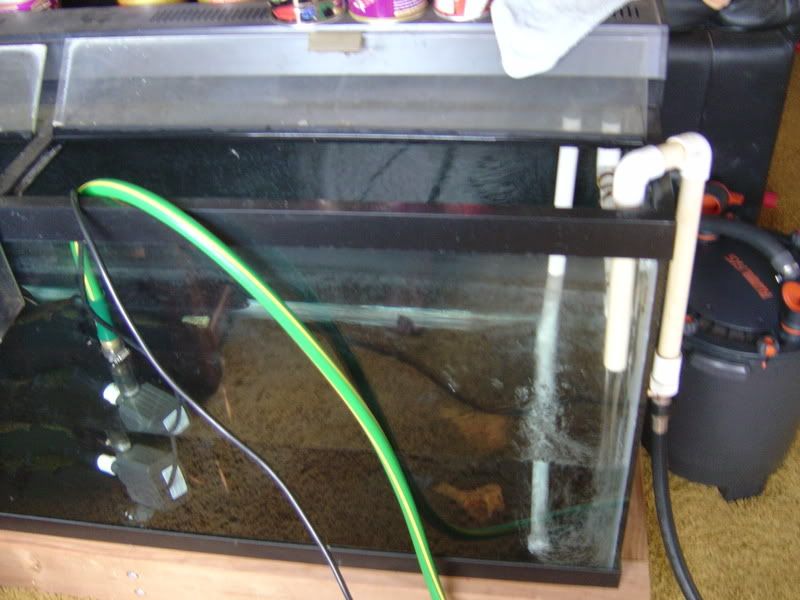 2-15-08006.jpg