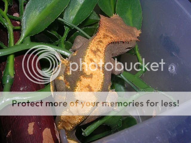 DSCN2535.jpg