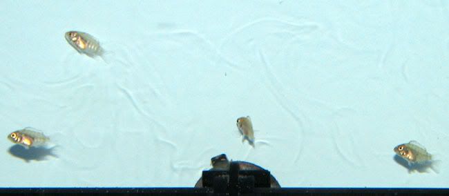 IMG_6698.jpg