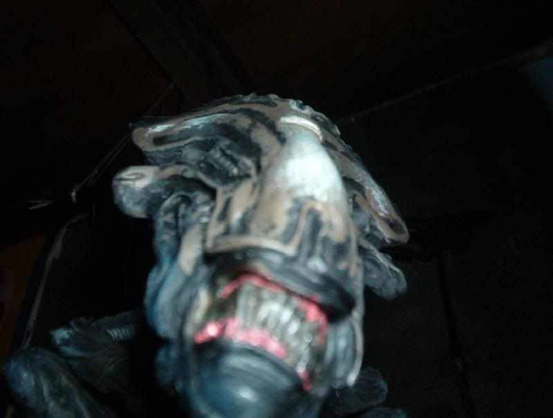 avp004Medium.jpg