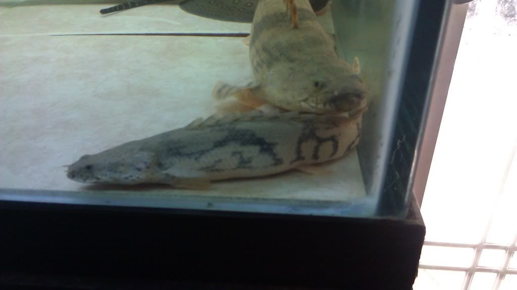 IMAG0673.jpg
