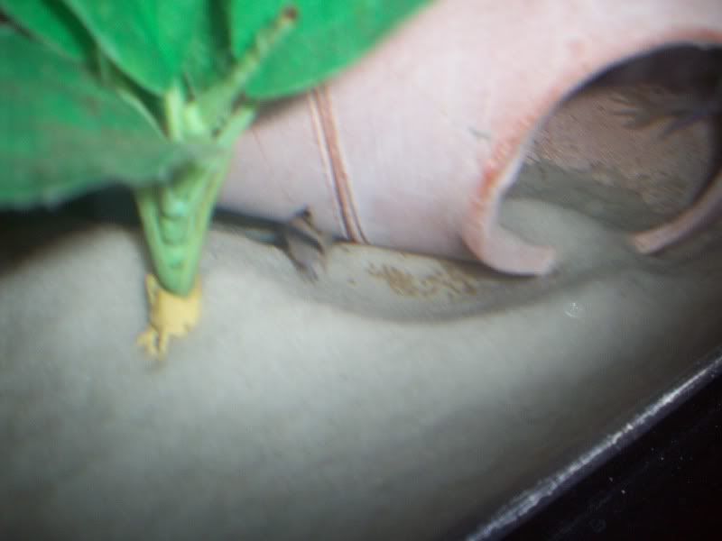 03202001119.jpg