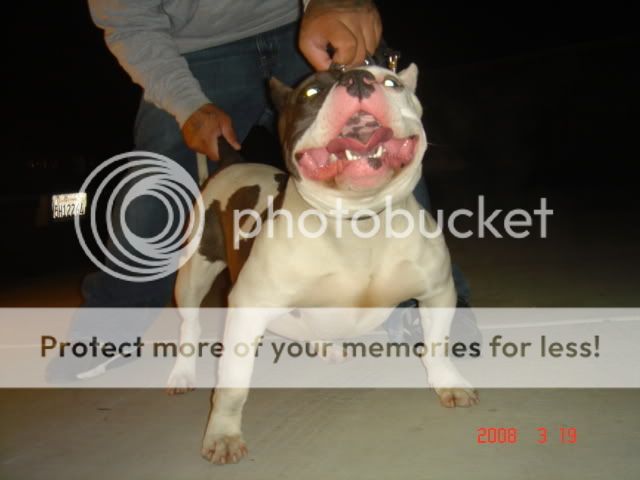 DSC08168.jpg