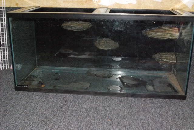 20100310_356.jpg