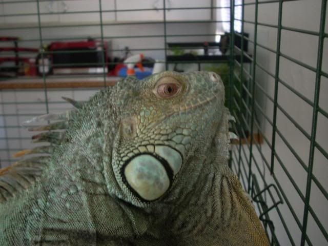 DSCN0972.jpg