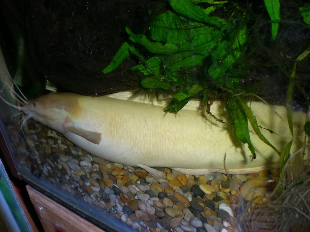 DSCN3938.jpg