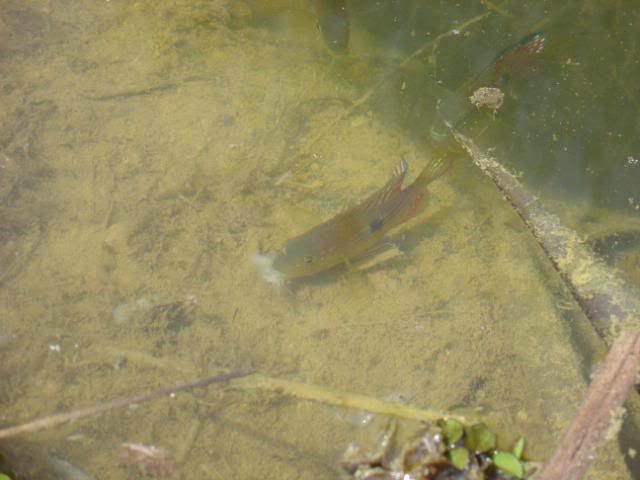 DSC04835.jpg