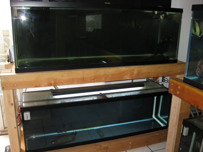 3-17-09043.jpg