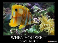 5f7fce8e06b4aaf6958c1eab201356ab.jpg