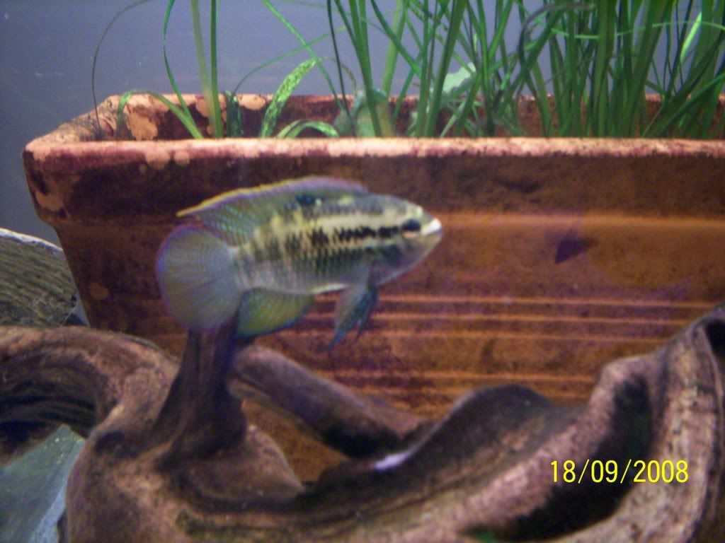 010.jpg
