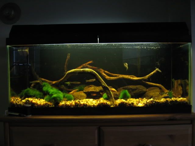 2413a51a.jpg