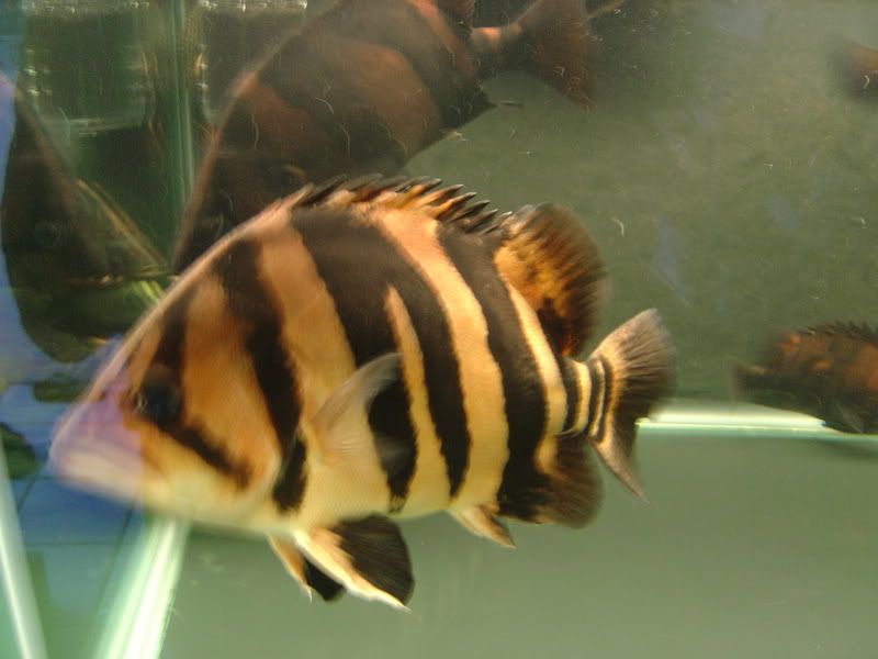 7-15-08012.jpg