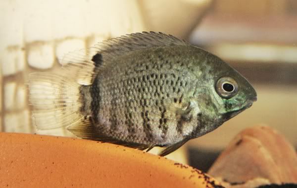 _MG_6882.jpg