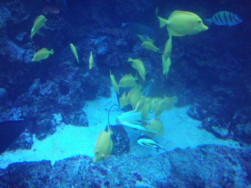 P4230037.JPG