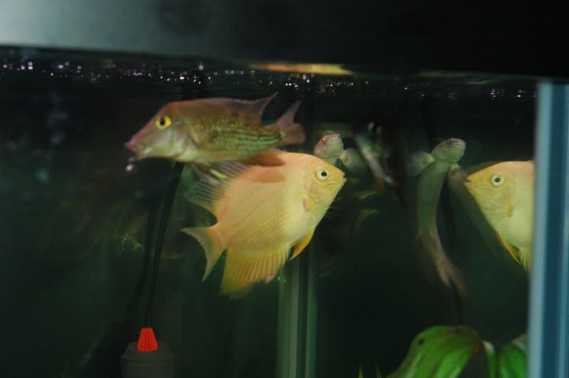 DSC_0023.jpg