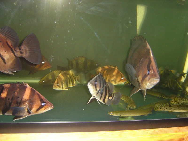 10-18-08012.jpg