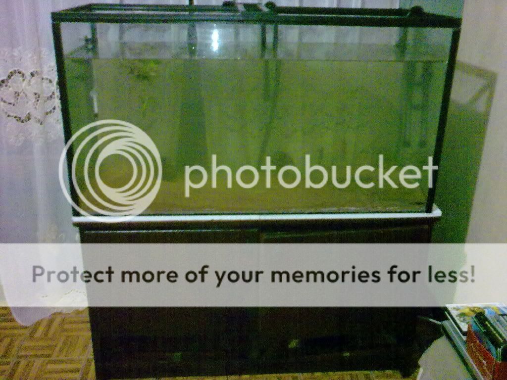 28052009067.jpg