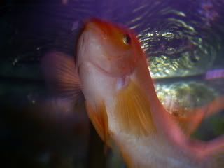 S5031109.jpg