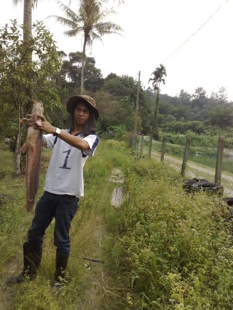 27082010941.jpg