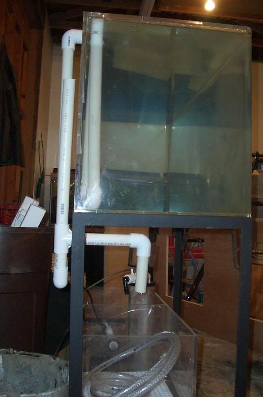 OverflowandSkimmer005.jpg