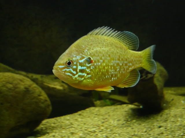 P1080276.jpg