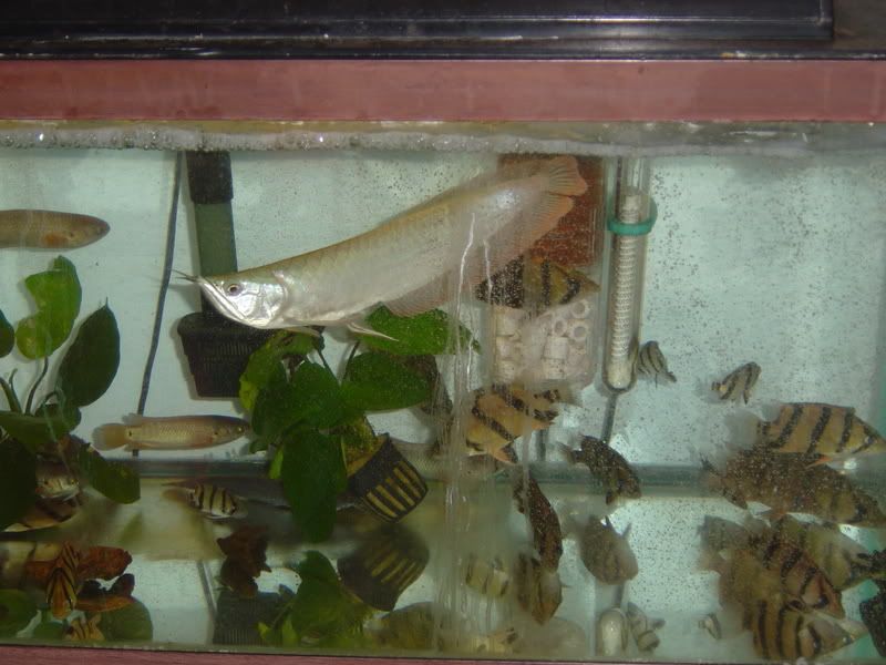 120gpt2007.jpg