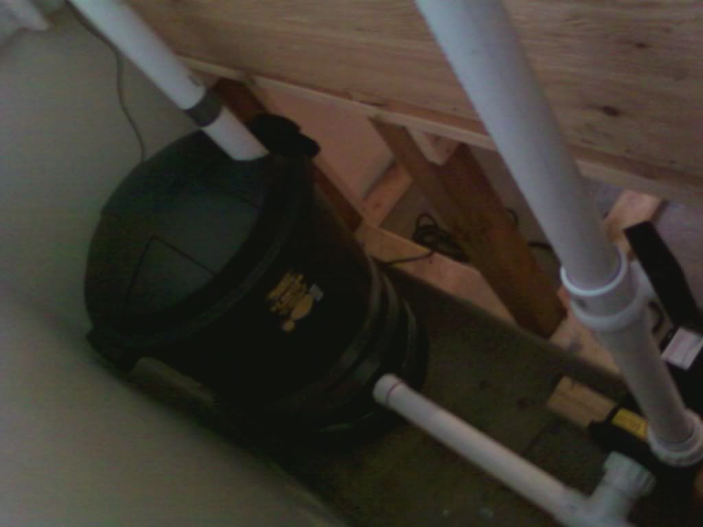 1Photo0295.jpg