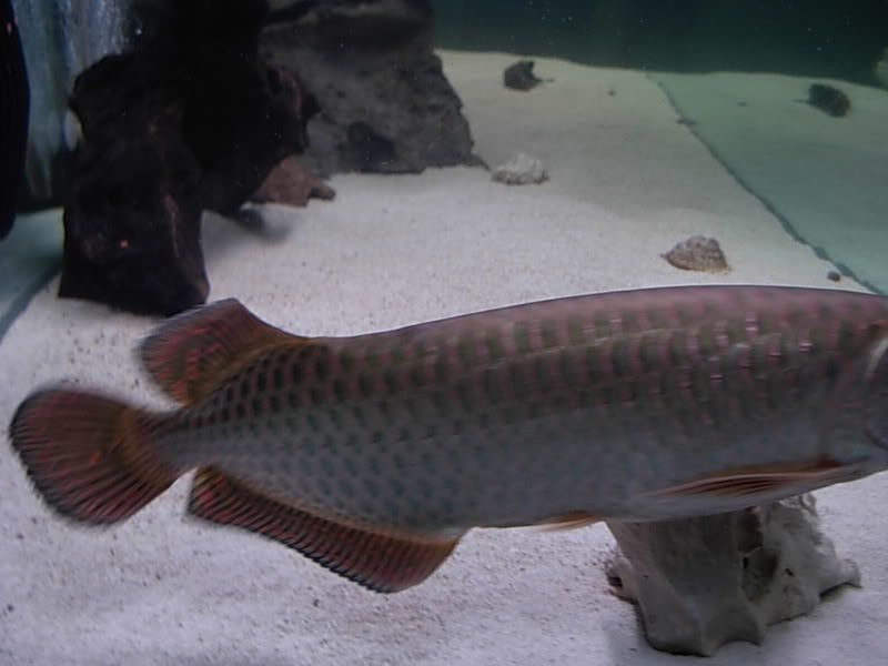 DSCN1340.jpg