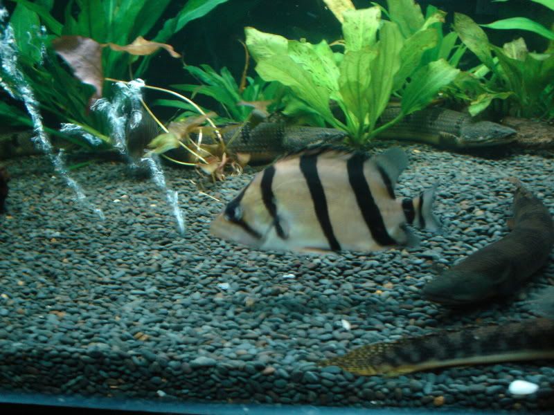 DSC01146.jpg