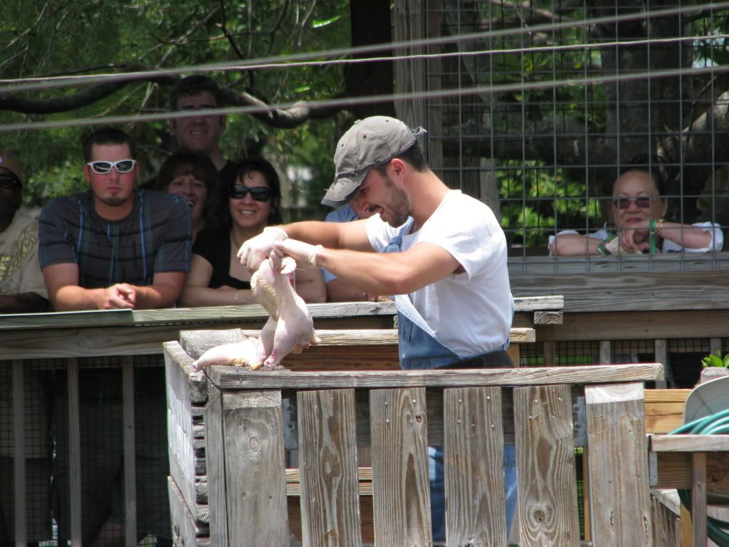 IMG_0842.jpg