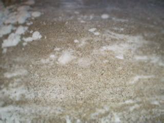 S5031121.jpg