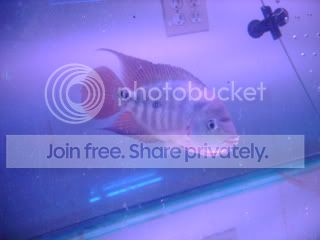 DSC00535.jpg