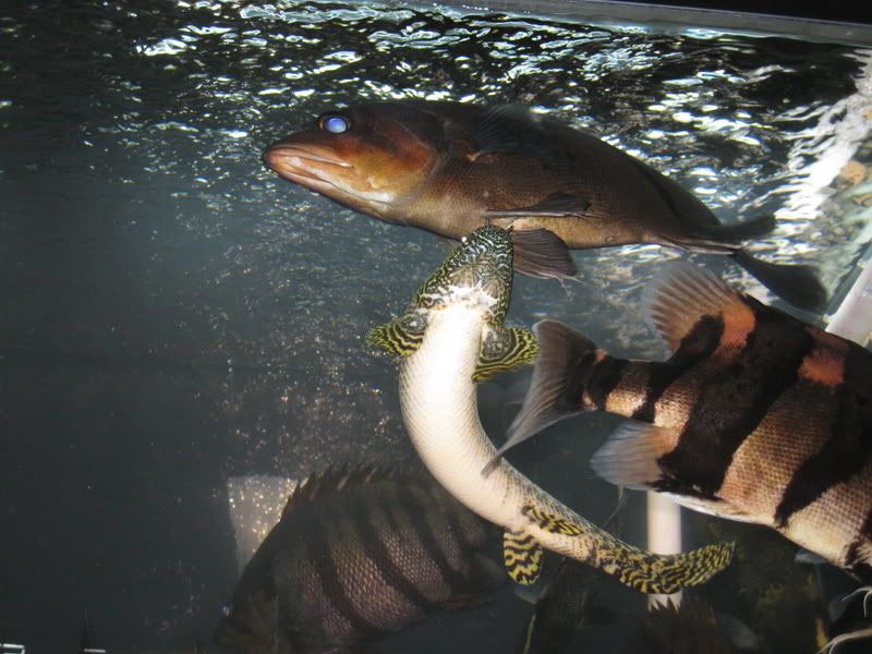 12-23-08080.jpg