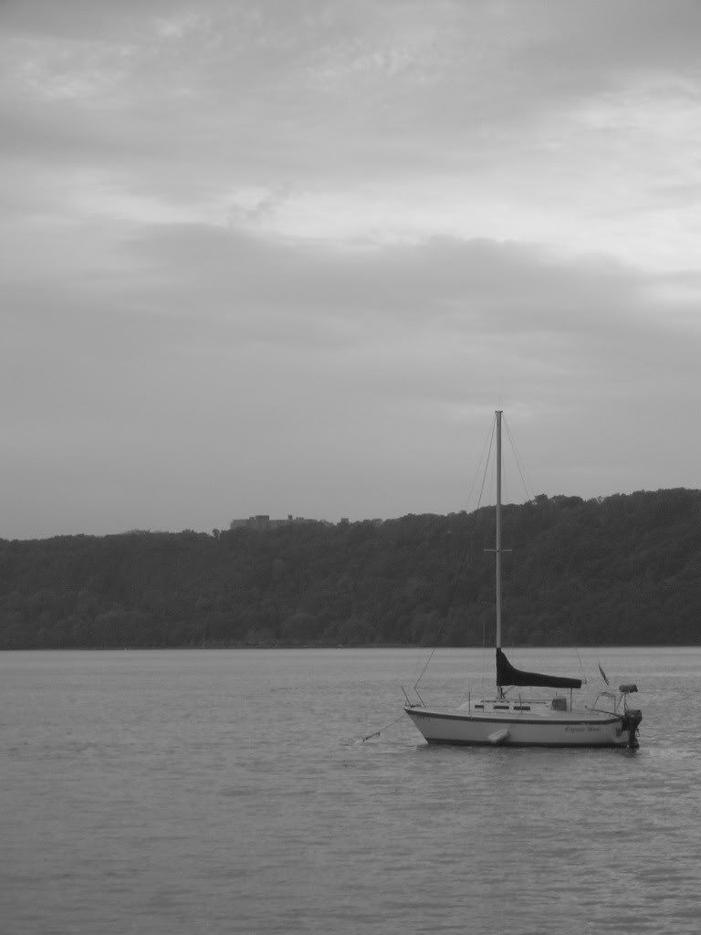 DSCN9381.jpg