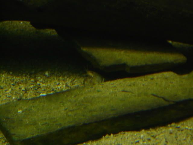 P1080255.jpg