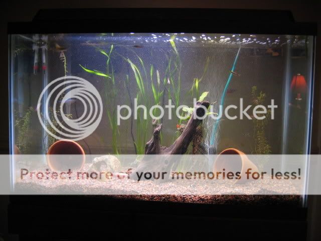 29GAL12292006.jpg