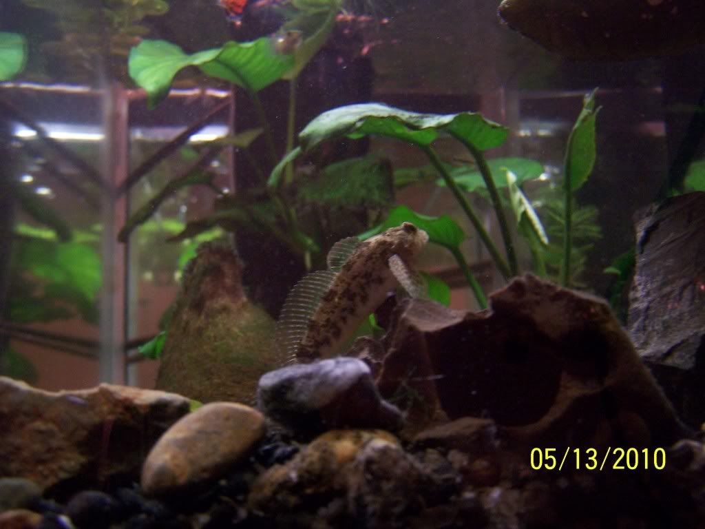 Picture028.jpg