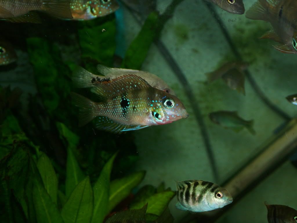 DSCF5740.jpg