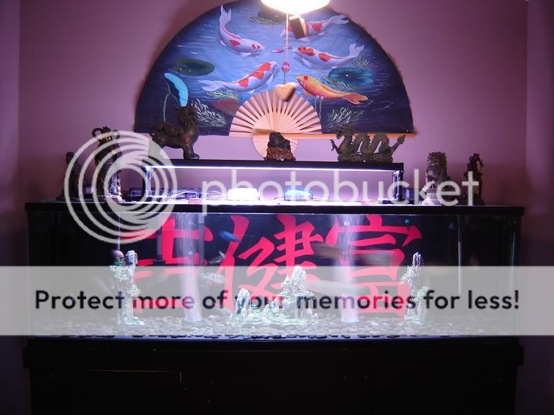 DSC06548.jpg