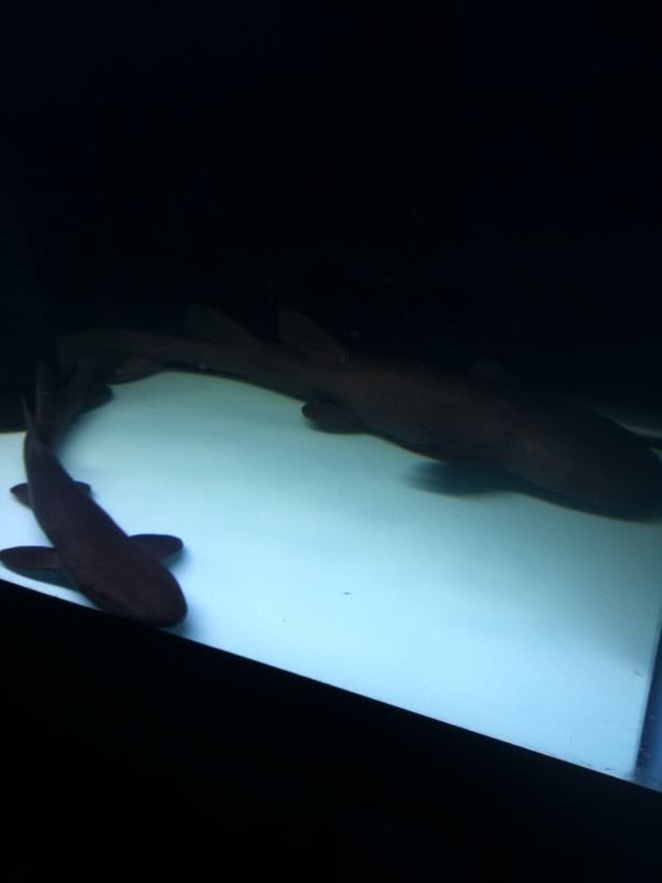 photo6.jpg
