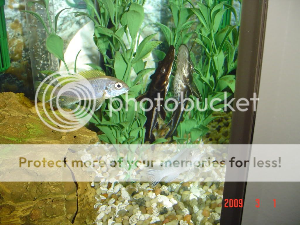 DSC02114.jpg