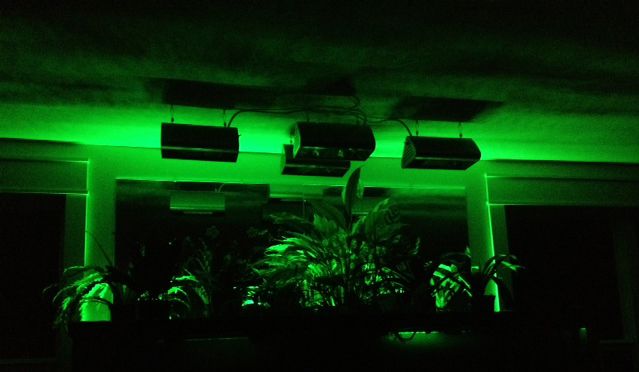 Greenbacklighting.jpg