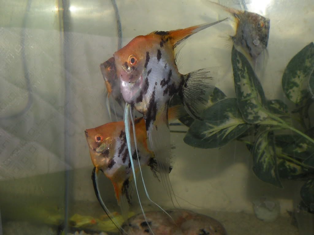 RSCN0869.jpg