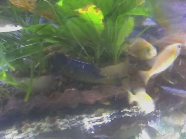 03-10-07_2222.jpg