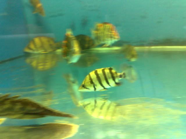 300320081705.jpg