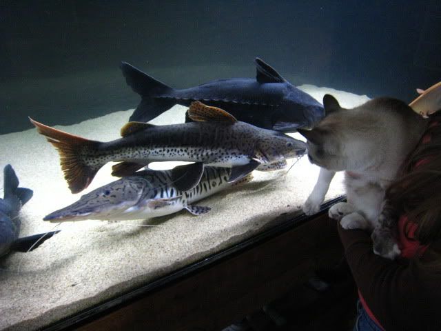 Picture009.jpg