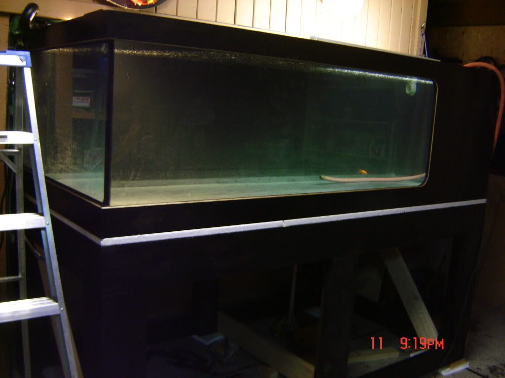 DSC04245.jpg