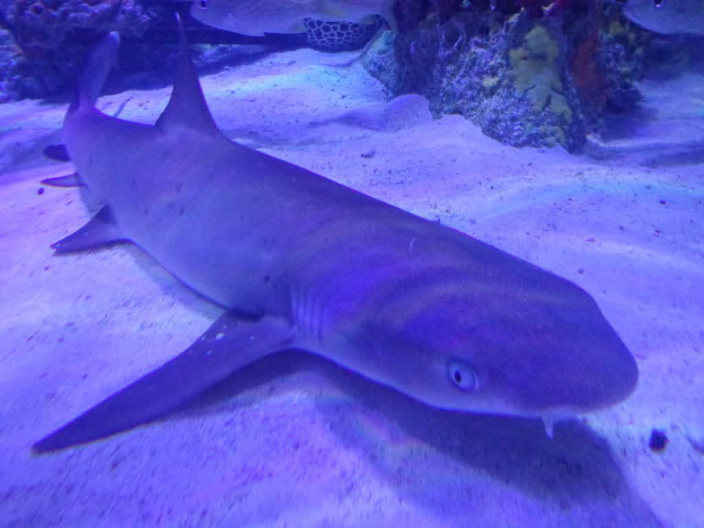 DSC01283.jpg